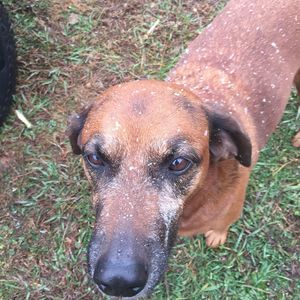 Meet your Posher, Austin